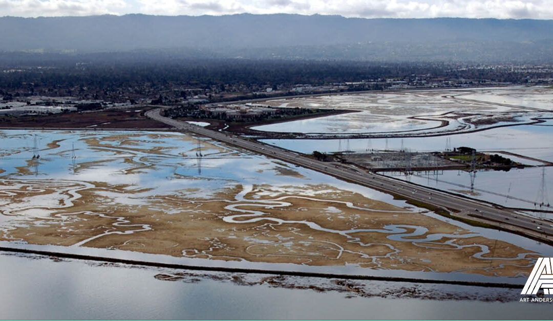 Ravenswood Pond SF2
