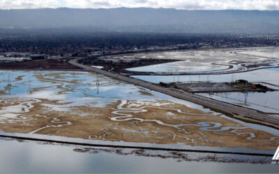 Ravenswood Pond SF2 Tidal Wetland Restoration